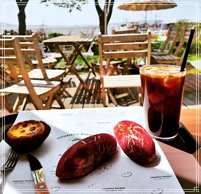 생방송투데이 서울 근교 강화 디저트 베이커리 카페 강화도 속노랑 고구마빵 맛집