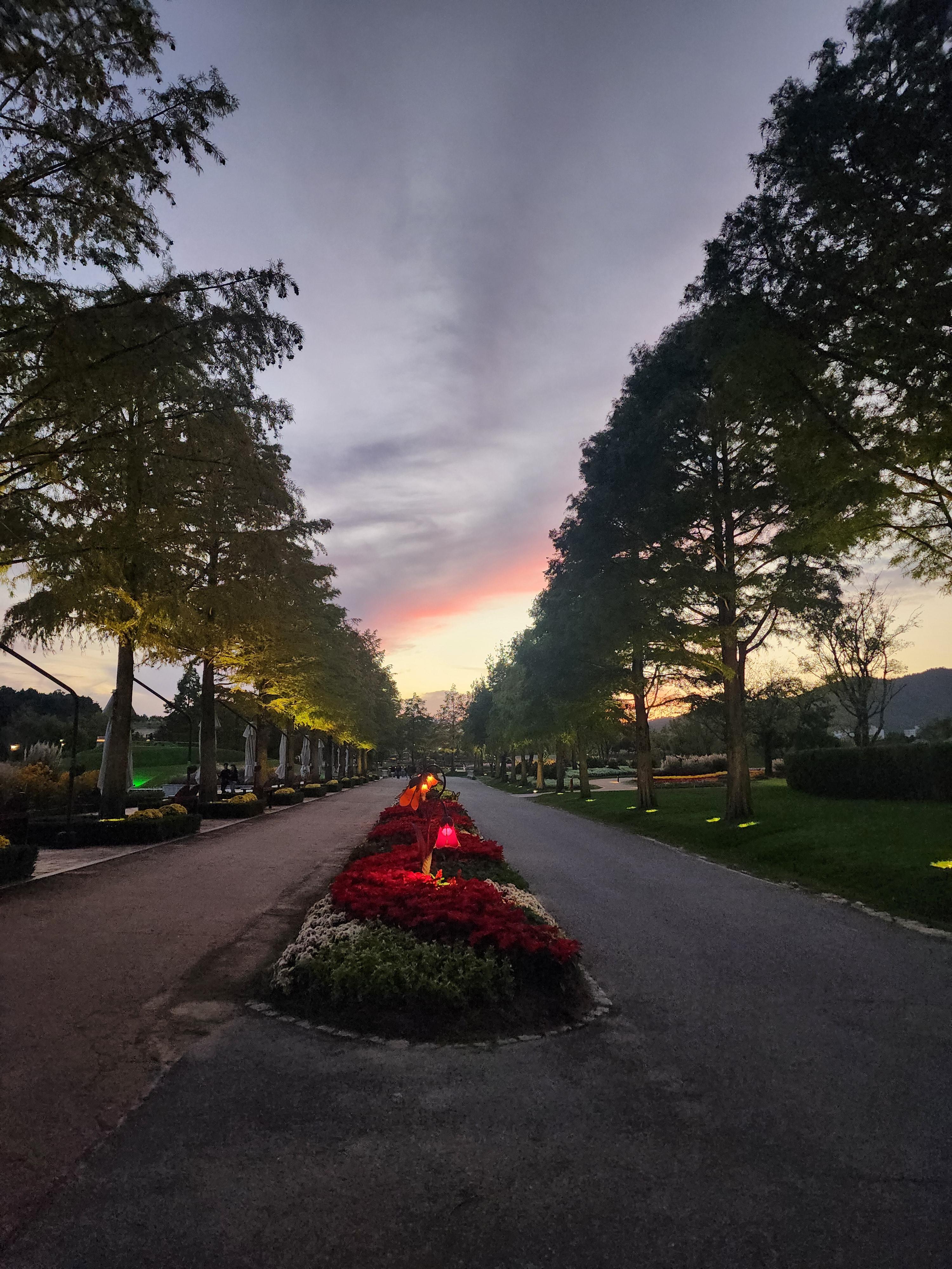 순천만 국가 정원