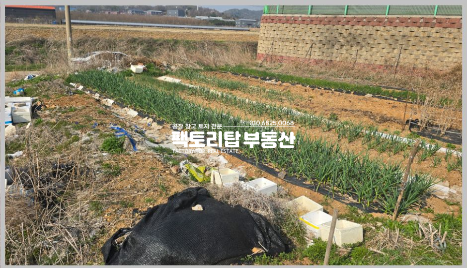 물건지사진