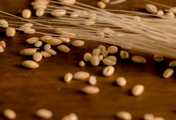 카무트 효소, 효능부터 먹는 법·부작용까지 알고 먹어야 보약