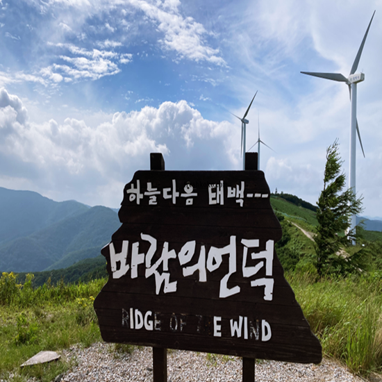 태백 가볼만한곳