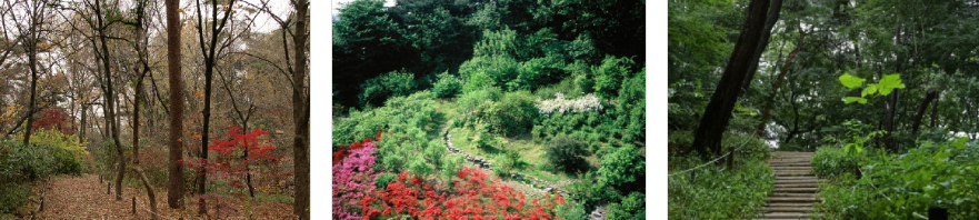 홍릉숲 숲속여행길