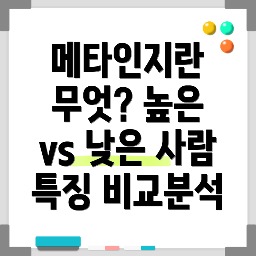 메타인지