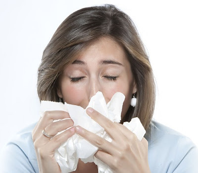 스트레스가 코 온도에 미치는 영향 연구 결과 관련 이미지