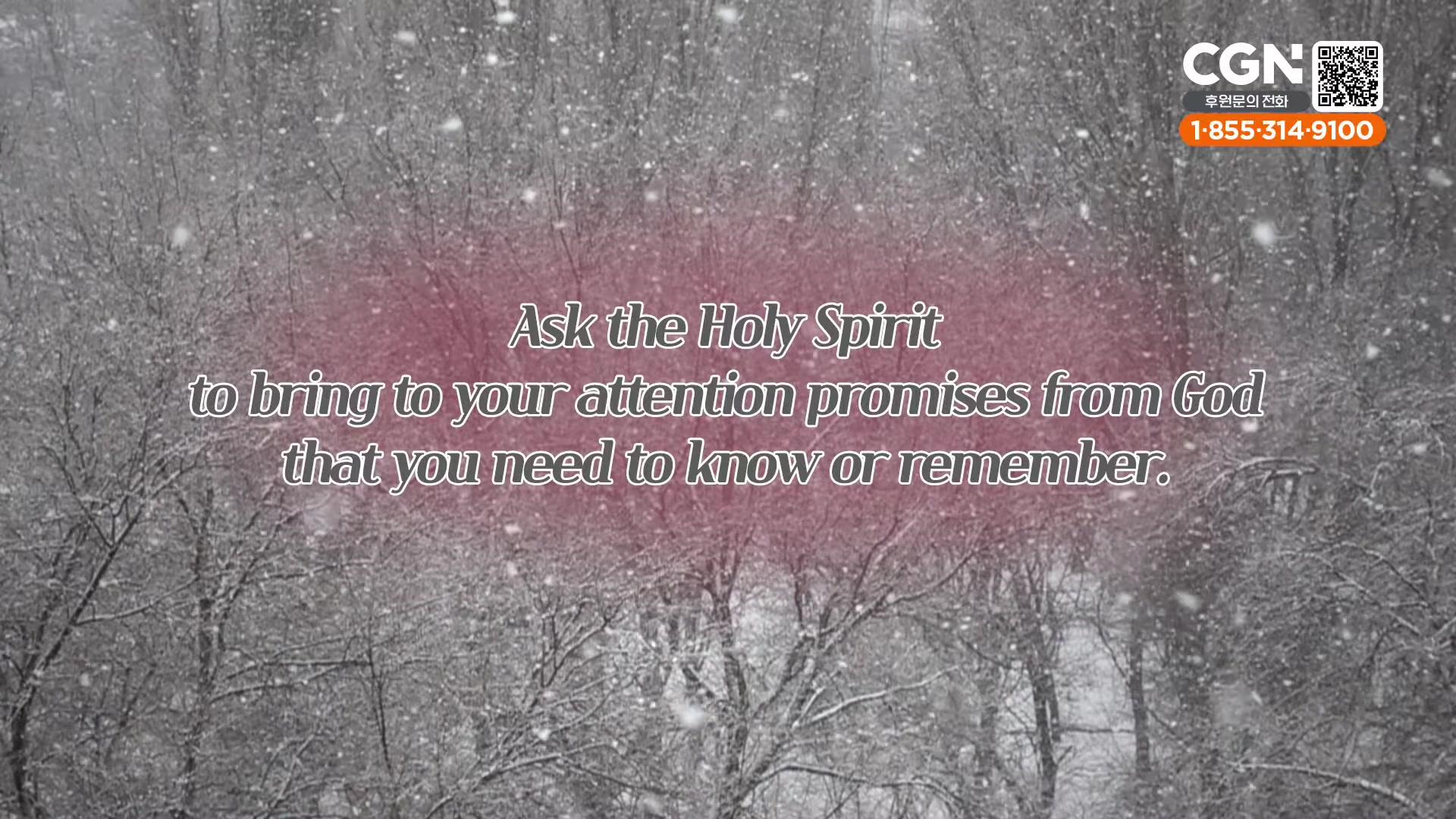Aks the holy Spirit to bring to your attention promises from God that you need to know or remember.