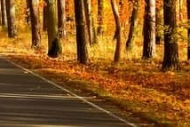  소상공인 50만원 크레딧 지원금! 신청방법 총정리