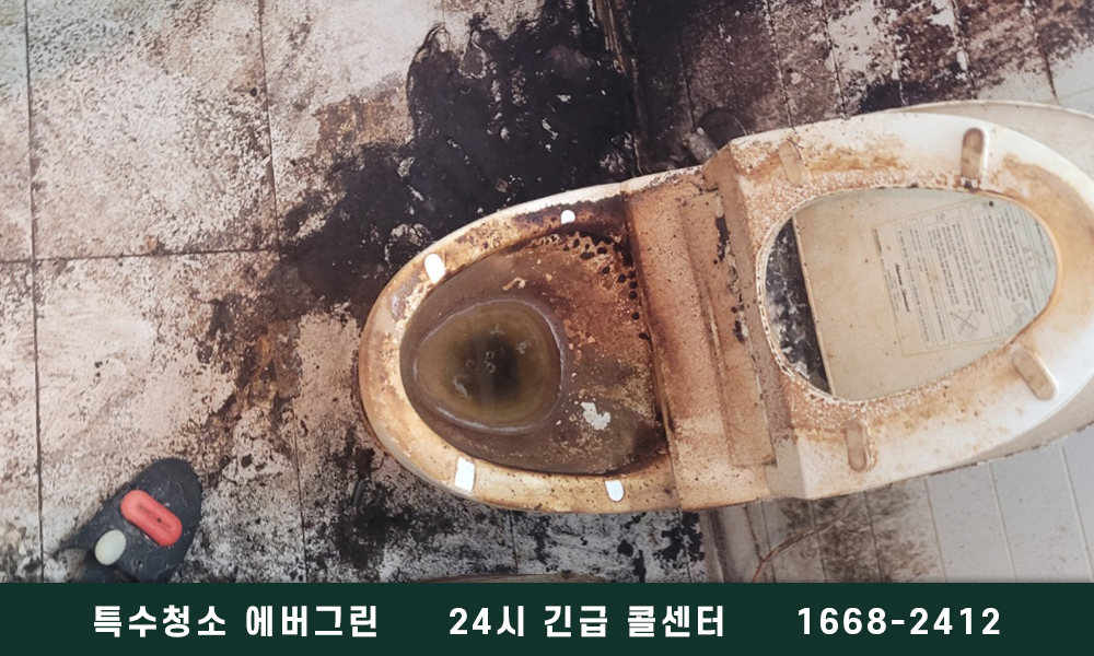 경산시 고독사청소 혈흔제거