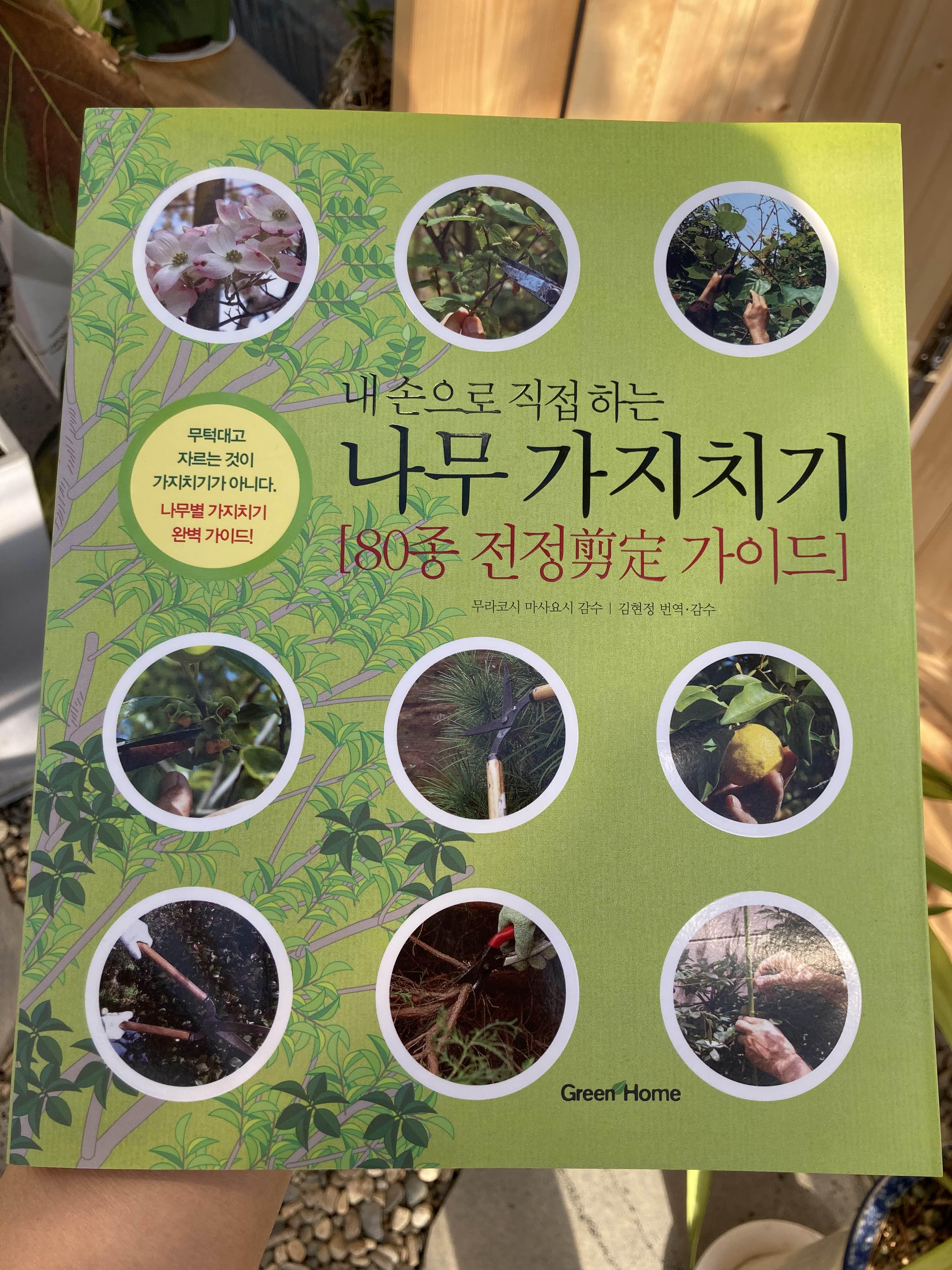 나무 가지치기 방법 정리