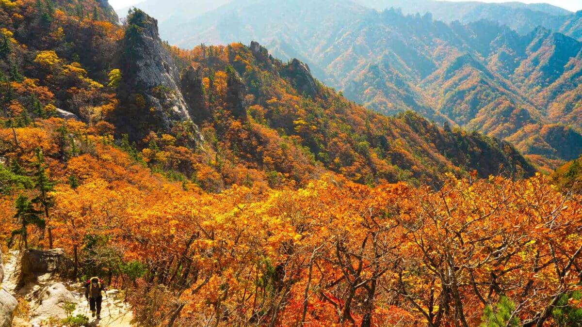2024 설악산 단풍축제: 가을의 아름다움을 만끽하는 방법 🍂