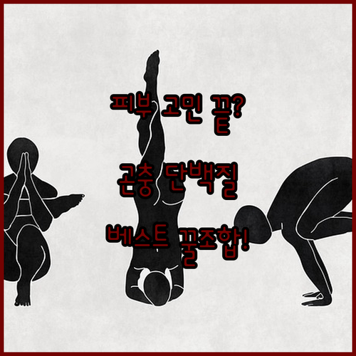 육류 알러지 걱정 끝 곤충 단백질 사..