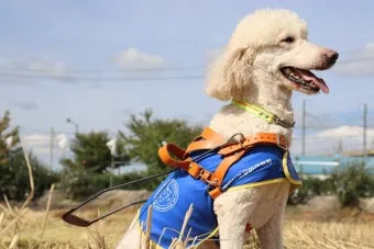 기독교 영화 unsung hero 2024 정보 해석 감동_6