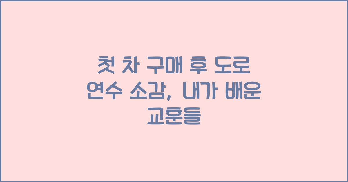 첫 차 구매 후 도로 연수 소감
