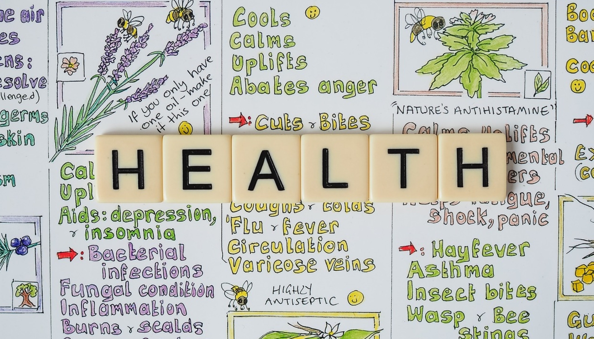 칼로리 계산 없이 다이어트하는 법: 직관적 식단 관리