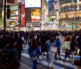 일본-입국-비지트-재팬