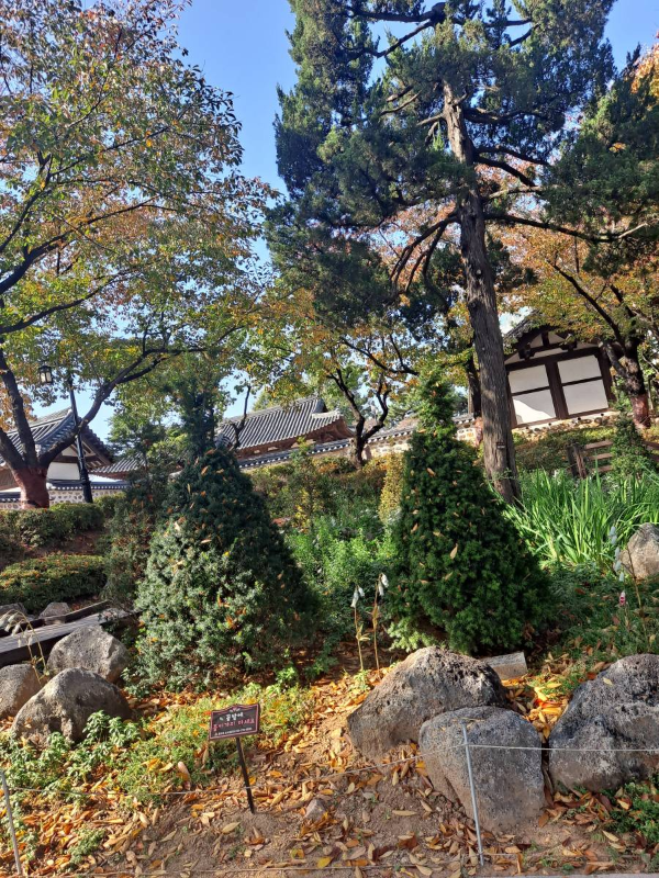 화도진공원 화단