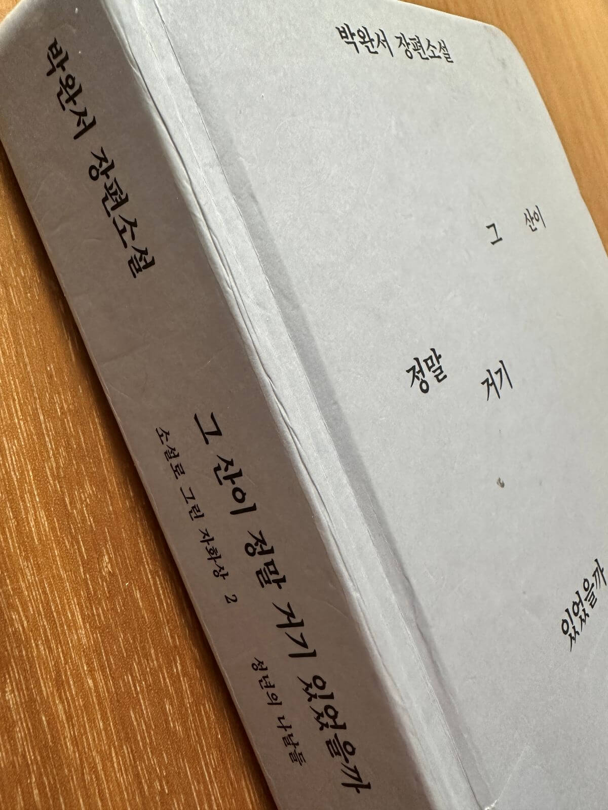 박완서-장편소설-그-산이-정말-거기-있었을까-책