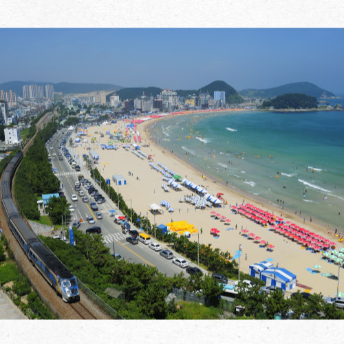 청사포에서 바라본 송정해수욕