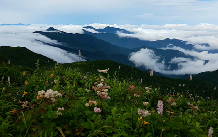 덕유산 케이블카