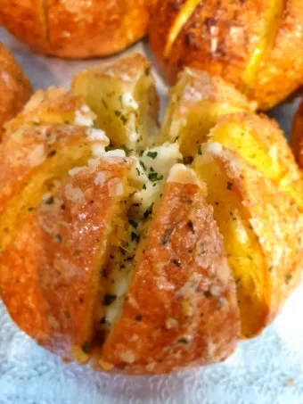 남부지방 마늘심는시기 핵심 가이드_20
