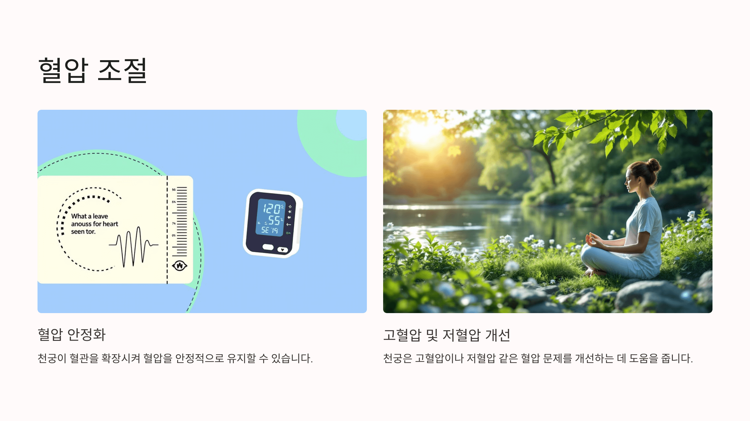 천궁 사진입니다.