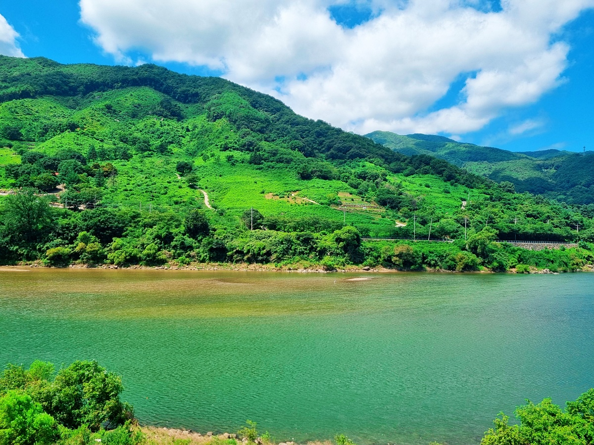 경남 하동 섬진강 화개장터: 볼거리와 먹거리, 박경리 토지길 코스, 맛집 혜성식당