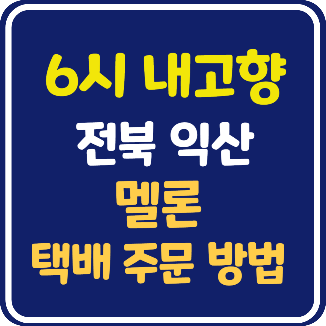 6시 내고향 전북 익산 멜론 택배 주문 방법