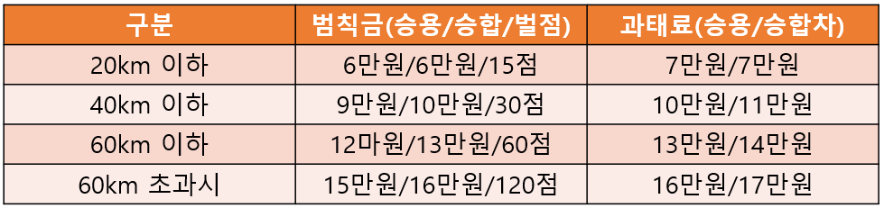 속도위반-과태료