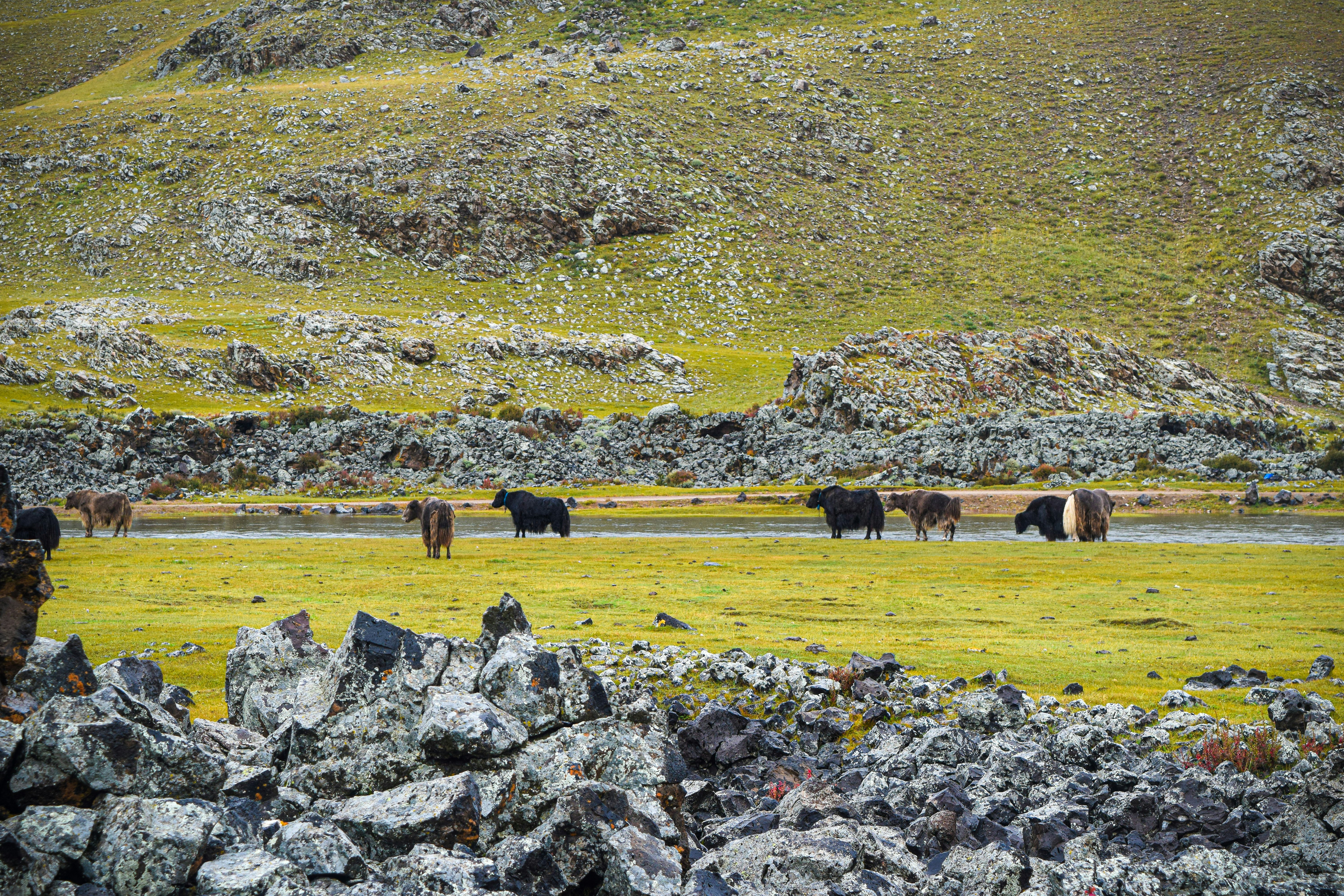 9월 -몽골- 여행- 완벽 -가이드22