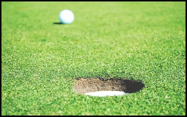 파크골프 경기규칙 (+ ob처치 방법 )