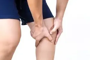 다리