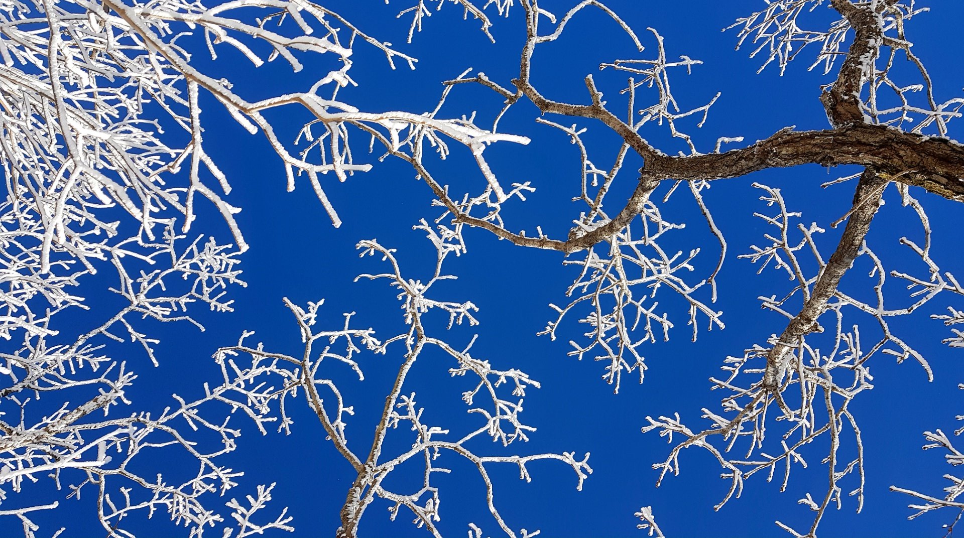 울산 가지산15 설경과 상고대