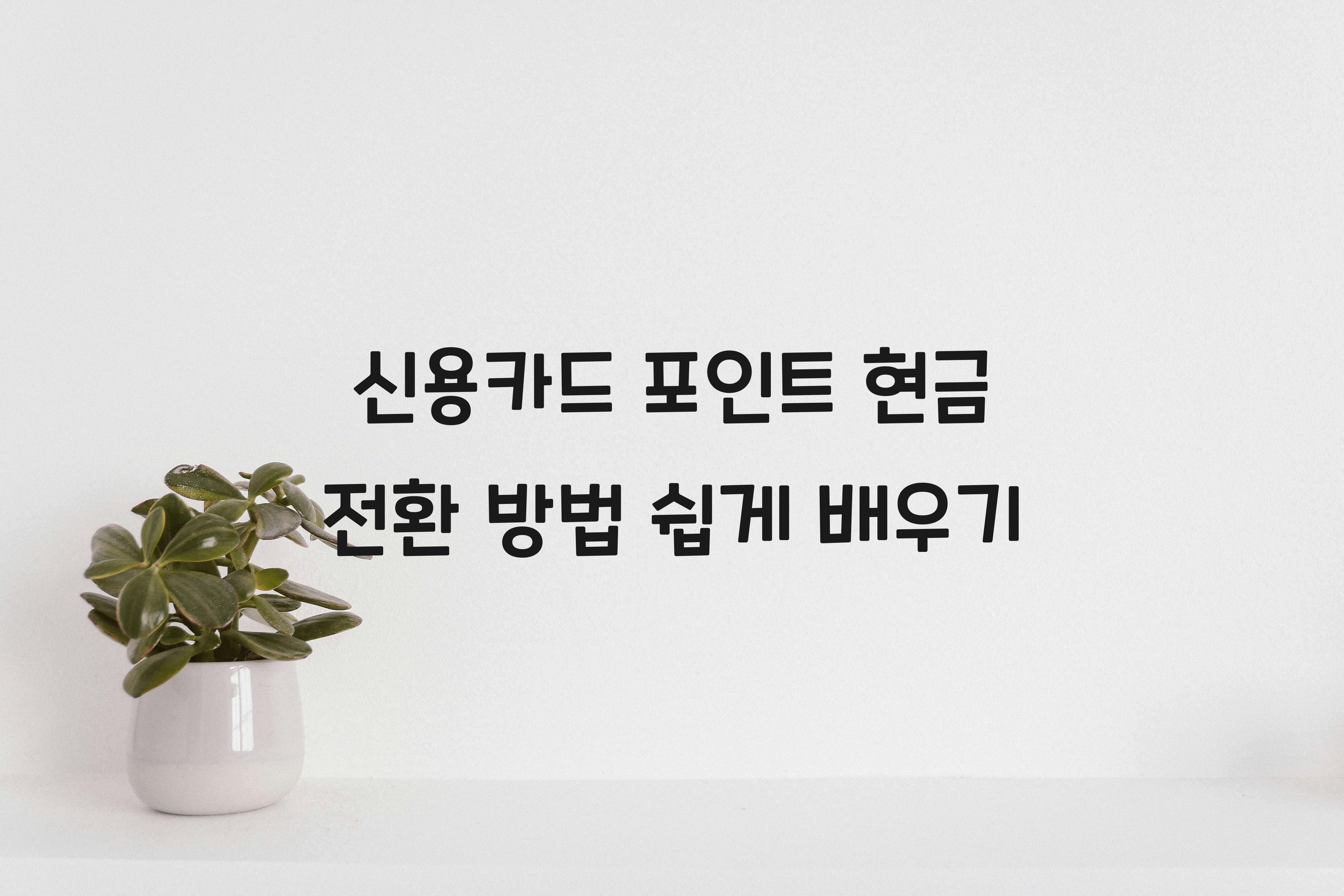 신용카드 포인트 현금 전환 방법