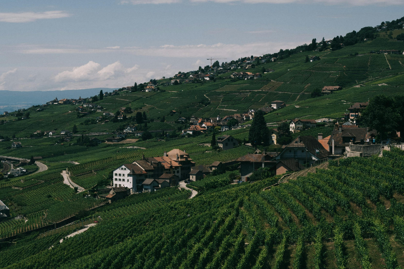 스위스 로잔: 올림픽 정신과 문화적 풍요가 공존하는 레만 호수의 진주