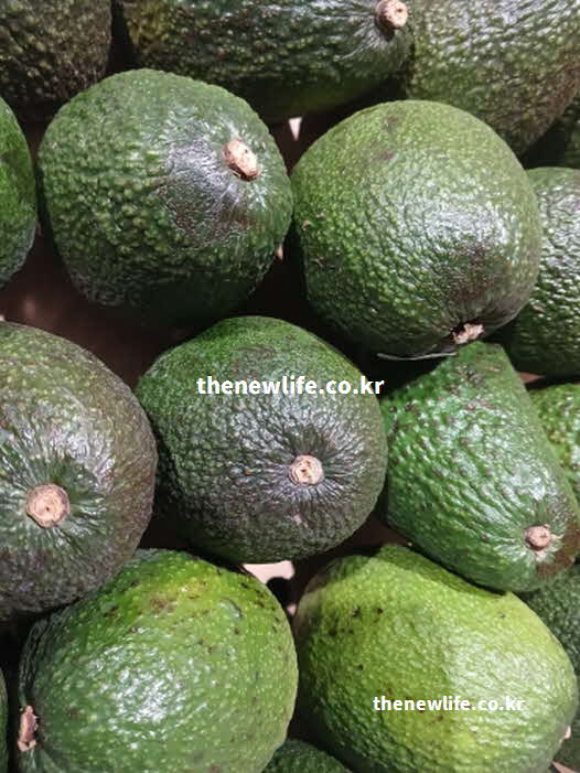 아보카도 효능 체중 감량 식이섬유