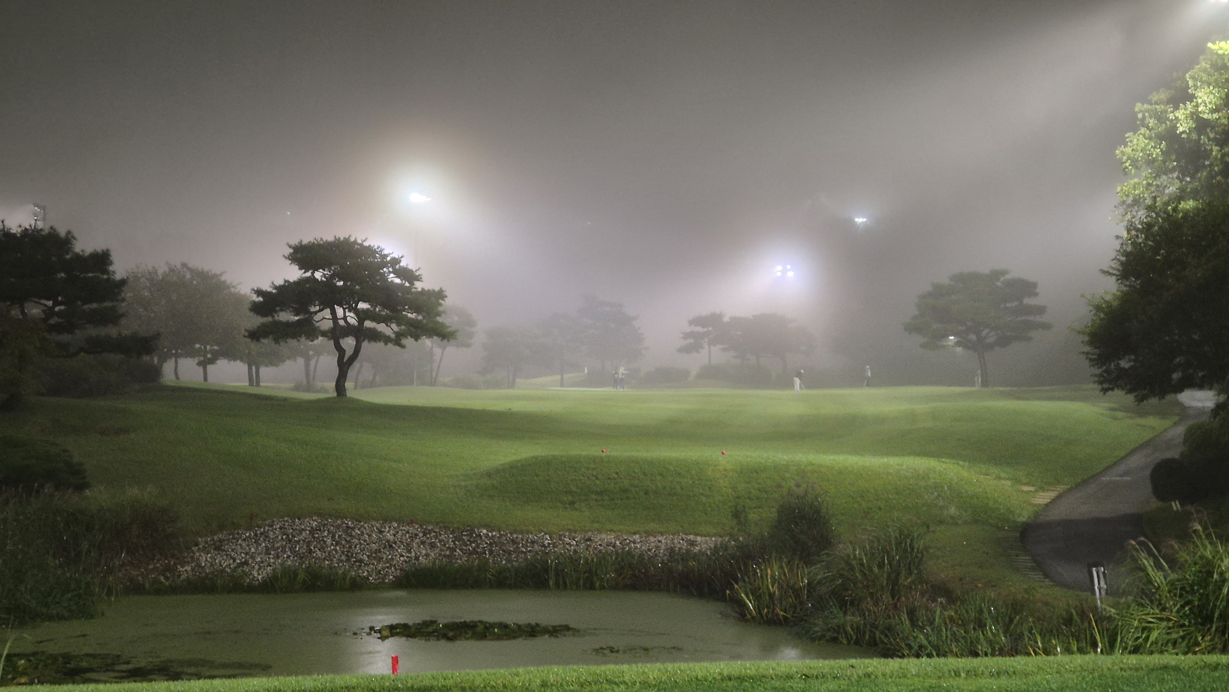 블루원용인cc 중코스