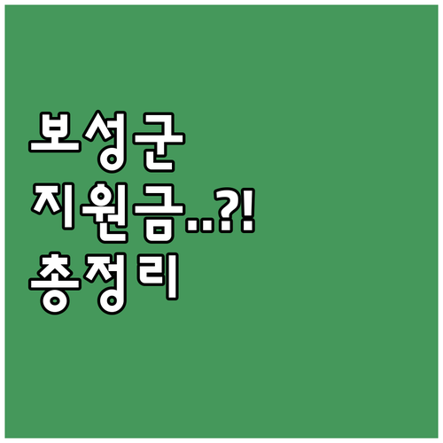 2025 보성군 출산·양육 지원금: ..