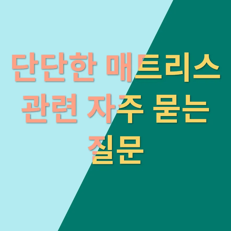 단단한 매트리스 추천_4