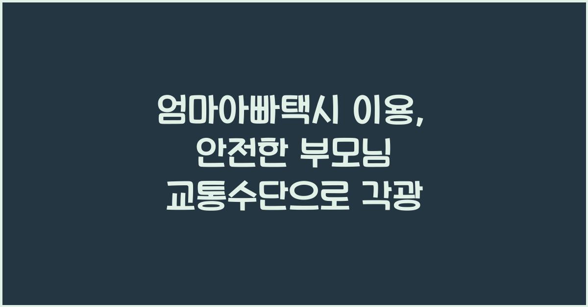 엄마아빠택시 이용