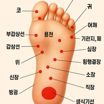 발바닥 가려움증 증상 4가지 이유 원인 치료법_43