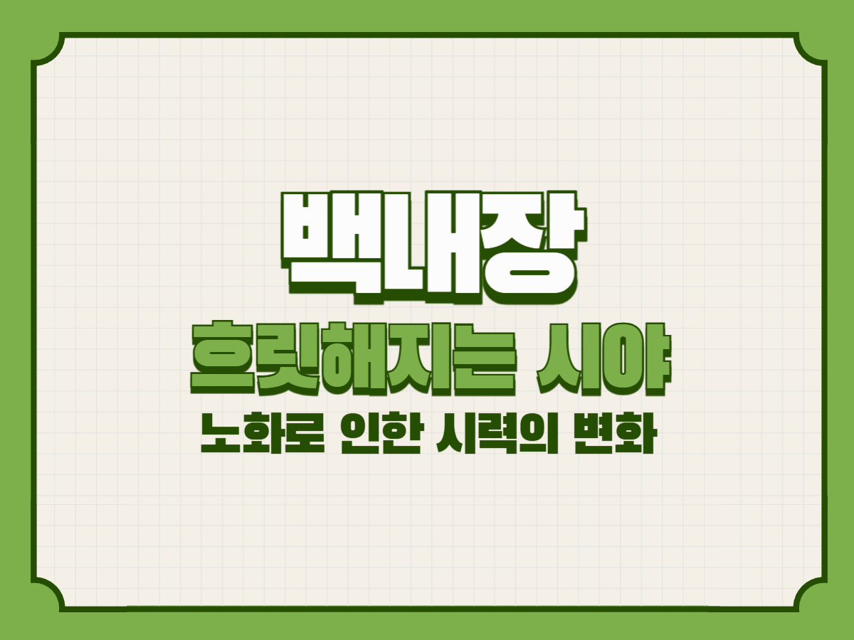 백내장– 흐릿해지는 시야, 노화로 인한 시력의 변화