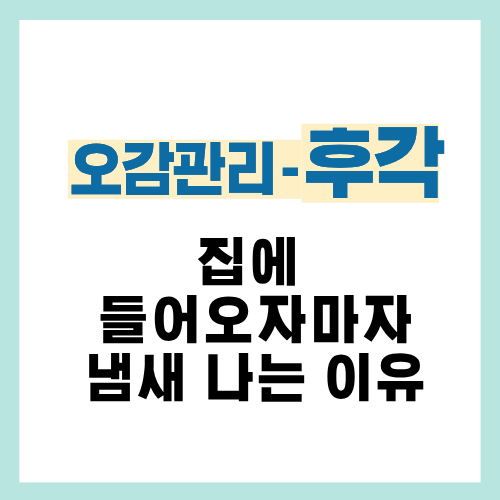 1편. 집에 들어오면 냄새 나는 이유|집 냄새 원인과 해결 방법 정리