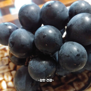 루비로망 효능