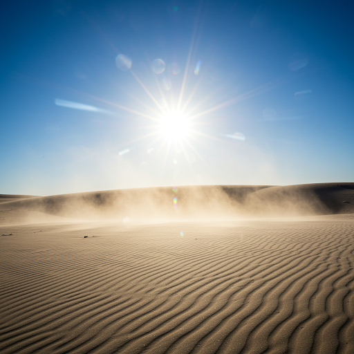 겨울 햇빛과 봄 햇빛 비교 (Comparison of winter and spring sunlight)