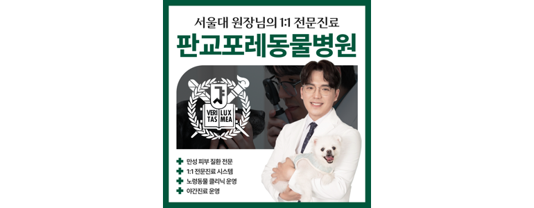 성남 분당구 동물병원