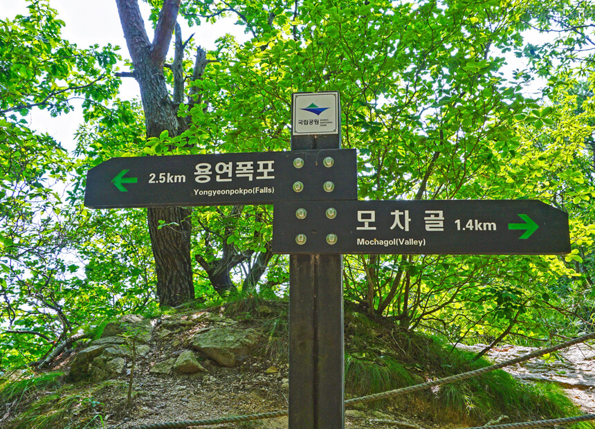 모차골