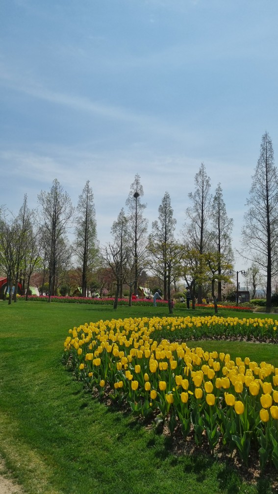 순천만국가정원 4월 튤립축제 포토존