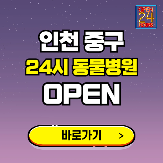 인천 중구 24시 동물병원 진료하는 곳 ❘ 설날 휴일 야간 심야 문여는곳 찾기 ❘ 응급진료
