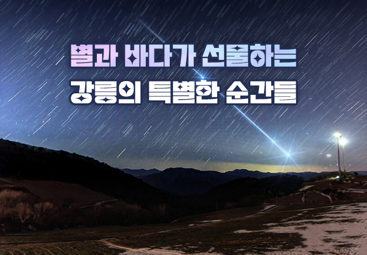 별과 바다