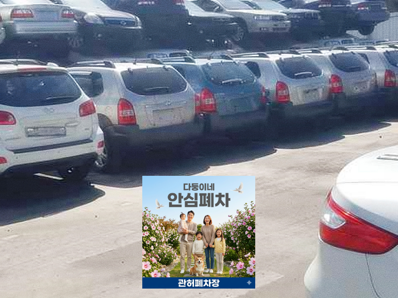 영치차량폐차 진행기간 확인