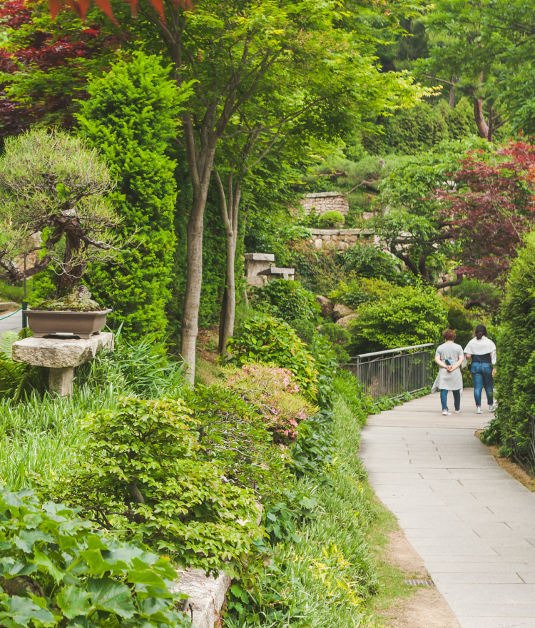 화담숲 어린이 추천 코스 BEST